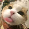 floryn_36