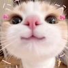 khing_12y006