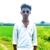 md.bizon14