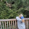 toka_simka86