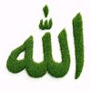 moustaphasam852