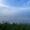 zte_220