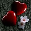 ayesha.malik2545