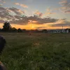harperb31