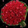 md.hasif936