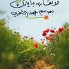 user17231419611946