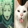 kitty_cat_meaww