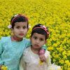 anowar0143