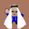 coolofficercat