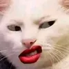 luadepvinguoi1