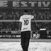 tsncc_