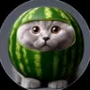 gerou_1488