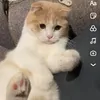 nour_z58