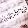user4851227261456