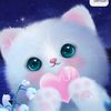 ahmad.najib382