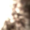 nathan.godoy88