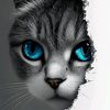 user97932592452806
