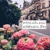 moomoo13800