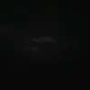 anonymous6691212