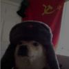 toast1063