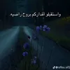.9566sajad