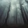 darkxtwisty__