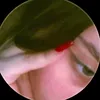 syr__2556