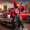 623redbird