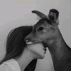 ...stable