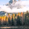 natureza56573