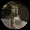 sajaalhmara2