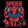 spiderbeck0