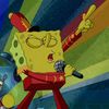 curstykrab0