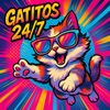 Gatitos 24/7