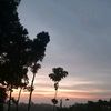 safasalsabil710