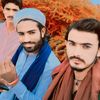 sindh629