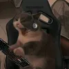 pixlwolf09