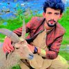 gulkhan306jafar