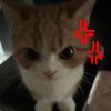pppzxkm19_