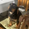 charliethetuffomiter