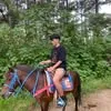 charles.suico