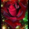 user8776338159061