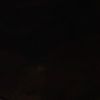 bob_00981