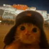 russian.cat4