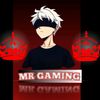 mr_gamig1