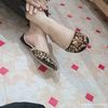 anaya.shah5976