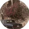 jana_n36