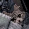 alpin_045