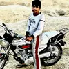 user4491841835204