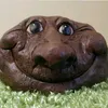 hgcvggdf8